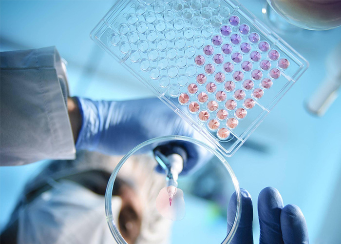 Xiushi Biopharma : Dernières mises à jour sur la biologie synthétique et les produits polypeptidiques