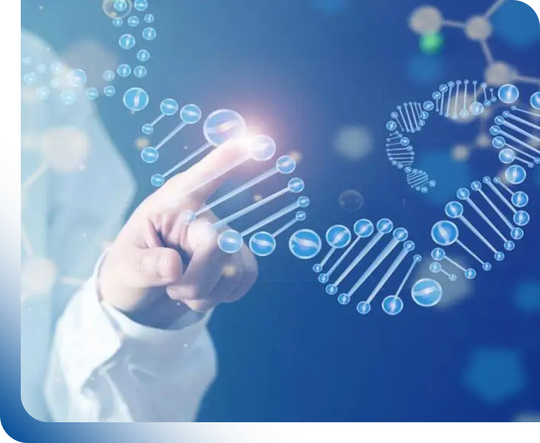 Peptides fonctionnels : chaînes protéiques courtes présentant une bioactivité, une biocompatibilité et une stabilité élevées, offrant des applications prometteuses dans le développement de médicaments, l\'alimentation et les biomatériaux.