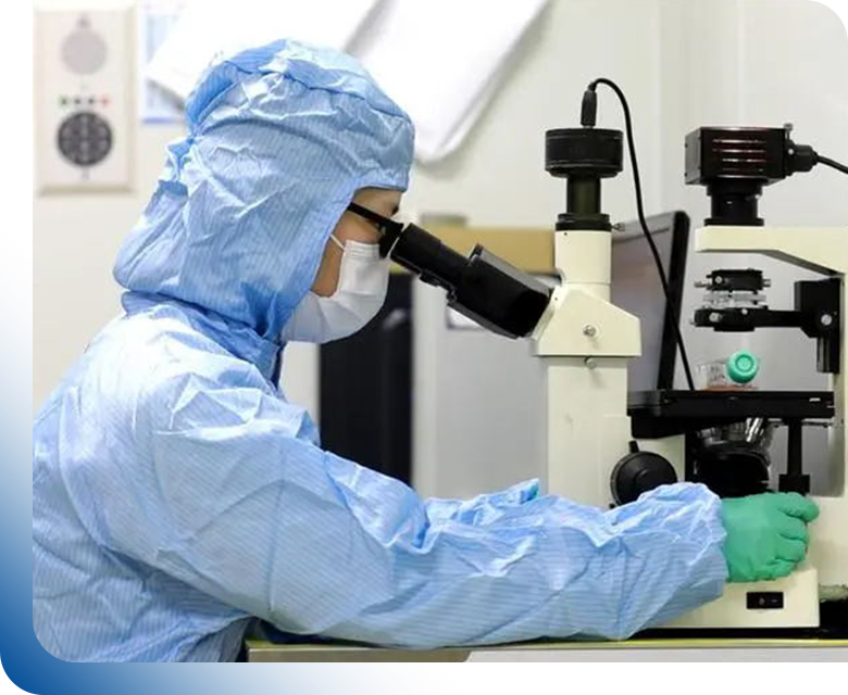 Processus de découverte de peptides – Services complets comprenant le criblage de bibliothèques de peptides, la conception de peptides assistée par ordinateur et la synthèse de peptides de haute pureté pour le développement de médicaments.